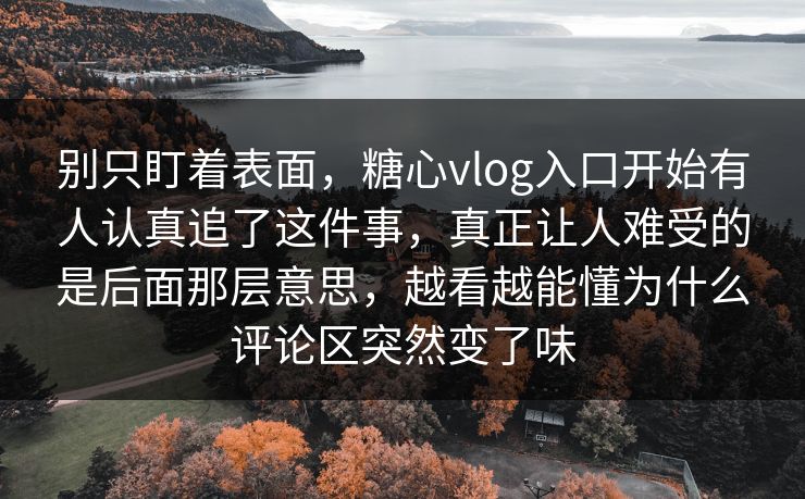 别只盯着表面，糖心vlog入口开始有人认真追了这件事，真正让人难受的是后面那层意思，越看越能懂为什么评论区突然变了味