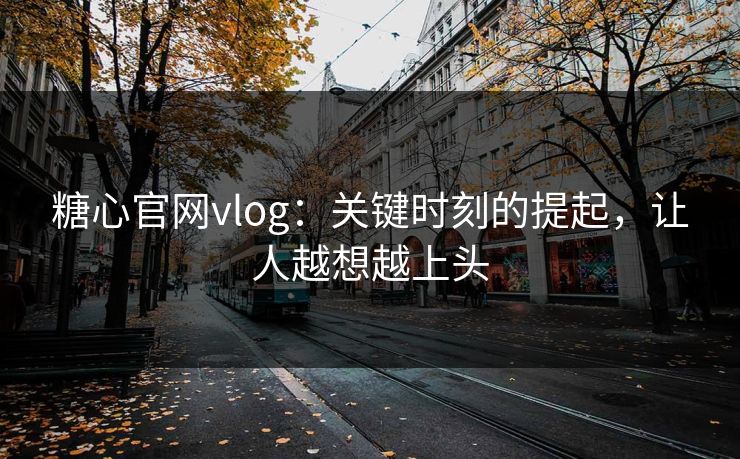 糖心官网vlog：关键时刻的提起，让人越想越上头