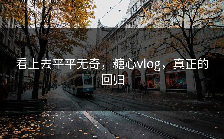 看上去平平无奇，糖心vlog，真正的回归