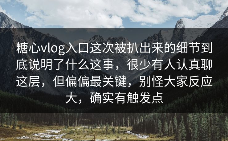 糖心vlog入口这次被扒出来的细节到底说明了什么这事，很少有人认真聊这层，但偏偏最关键，别怪大家反应大，确实有触发点