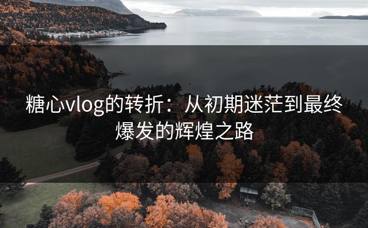 糖心vlog的转折：从初期迷茫到最终爆发的辉煌之路