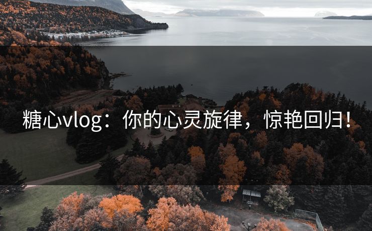糖心vlog：你的心灵旋律，惊艳回归！